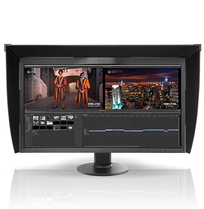 Eizo Ecran 31" CG318